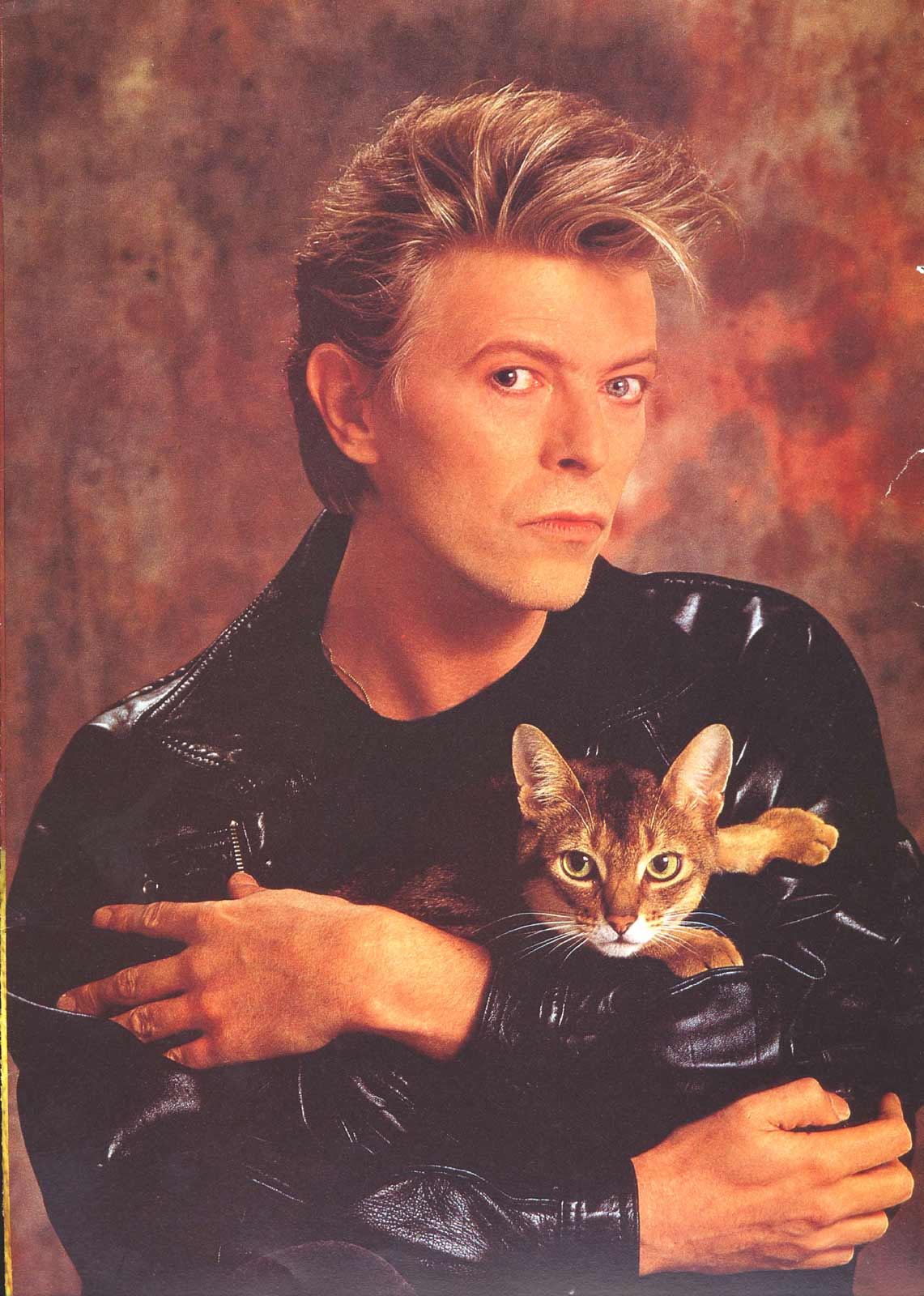 Ashes to Ashes (Bowie Remembered) – THE MUSE PATROL